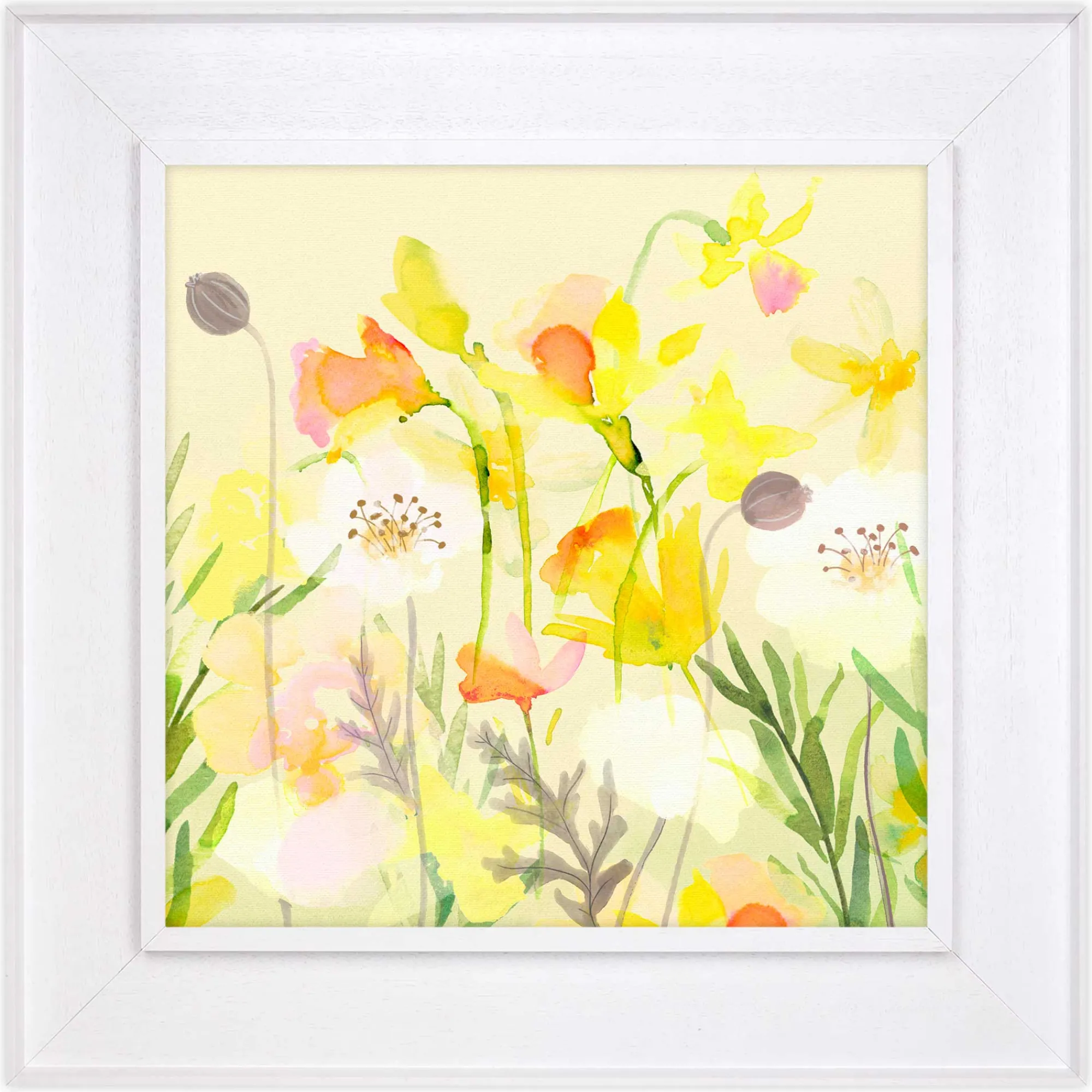 Floral & Flowers|Framed Canvas*Whistlefish White Poppy Framed Canvas