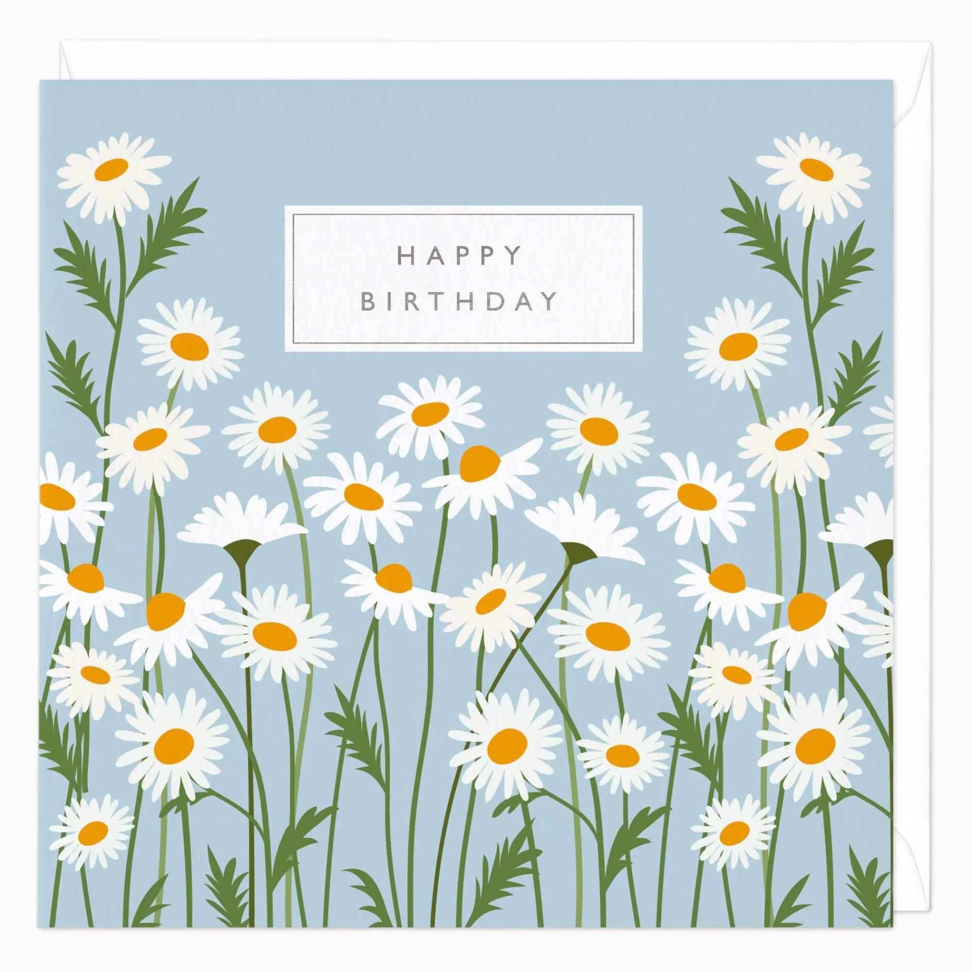 Birthday|For Her*Whistlefish Wild Daisies Birthday Card