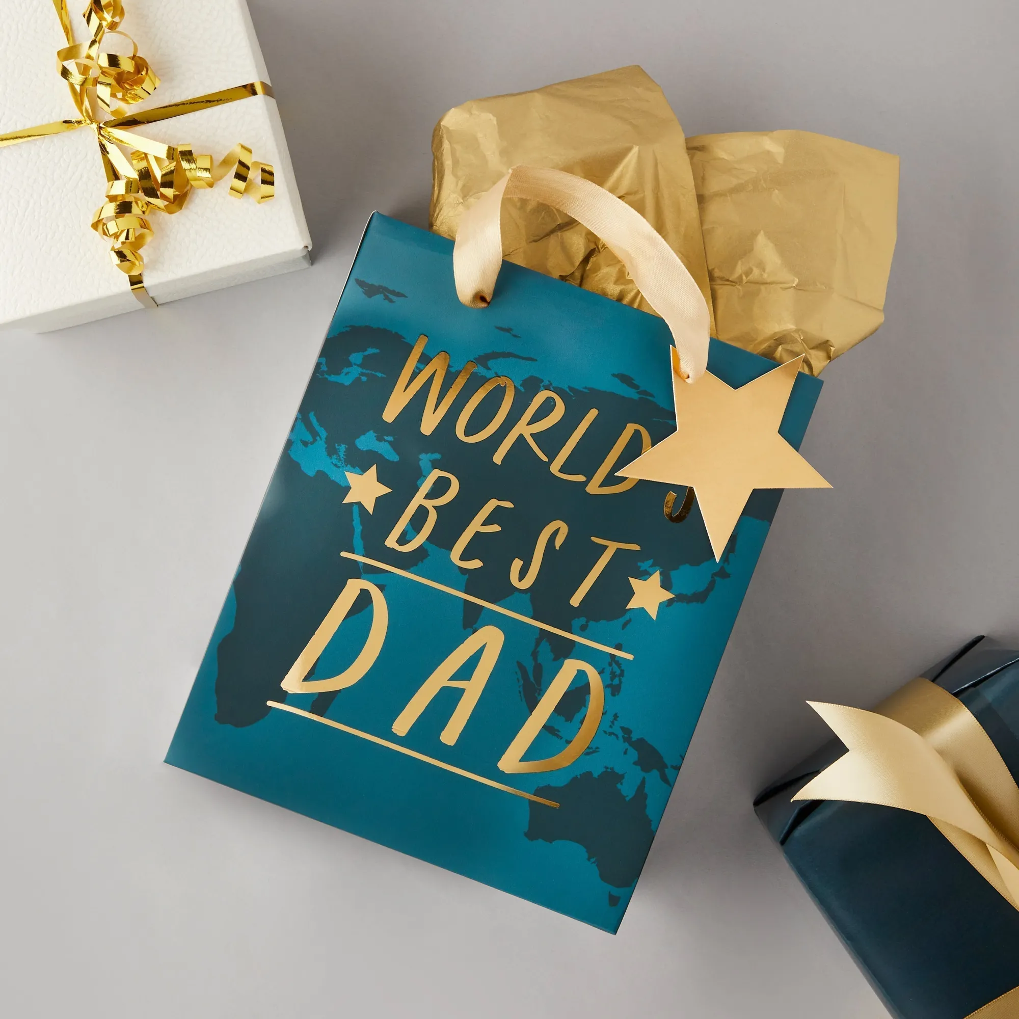 Gift Bags|Gift Bags*Whistlefish Worlds Best Dad Gift Bag